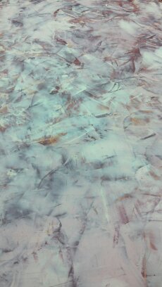 ice planet